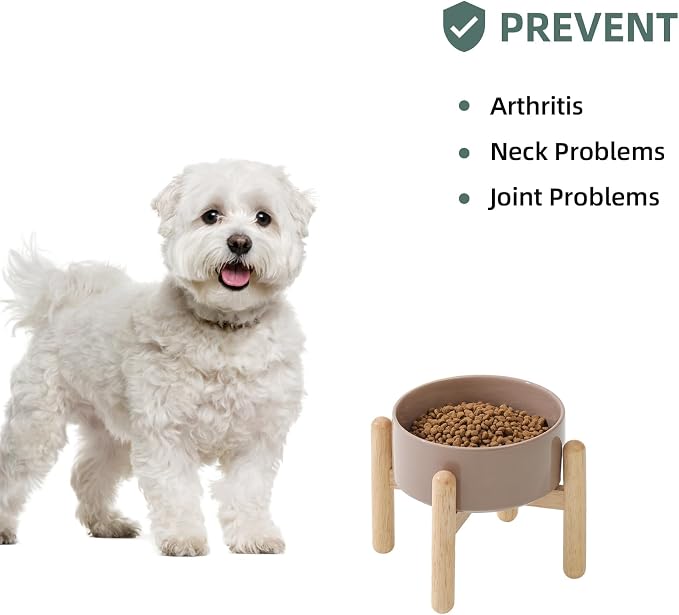 Havniva Ceramic Dog Bowls Elevated, Raised Dog Food Bowl for Small Dogs | 6.1” Elevated Dog Bowls, Non-Slip Wood Stand, Dog Food and Water Bowl Set, Dog Feeding Dish, Large Capacity Pet Water Bowl