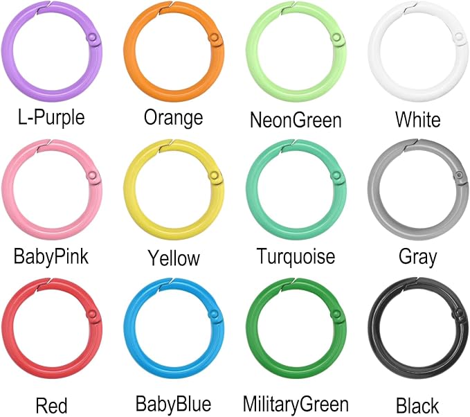 12 Pack 1 Inch Metal Round Carabiner Keyring, Trigger Spring O Rings for Keychain, Purse Chain Clips, Paracord Lanyard, Key Rings DIY Accessories (Assorted)