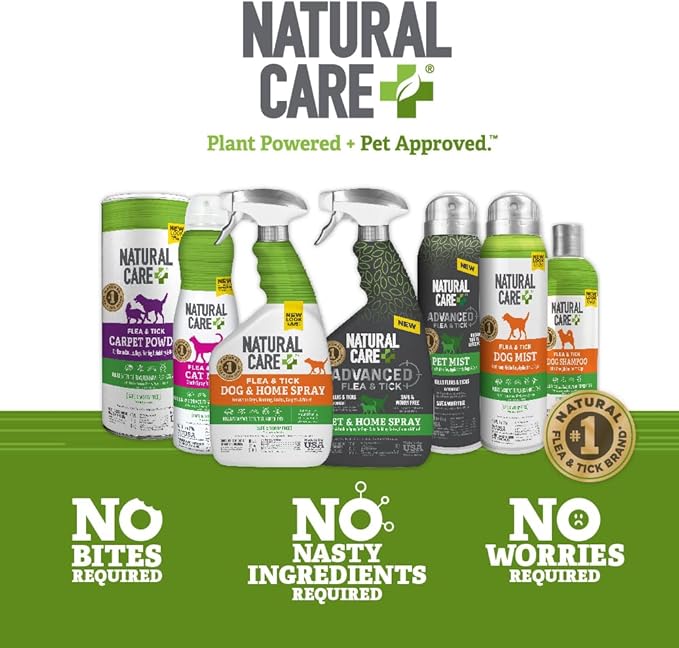 Natural Care Flea and Tick Dog Shampoo - Flea & Tick Treatment for Dogs - Flea & Tick Killer with Certified Natural Oils - 12 Fluid Ounces