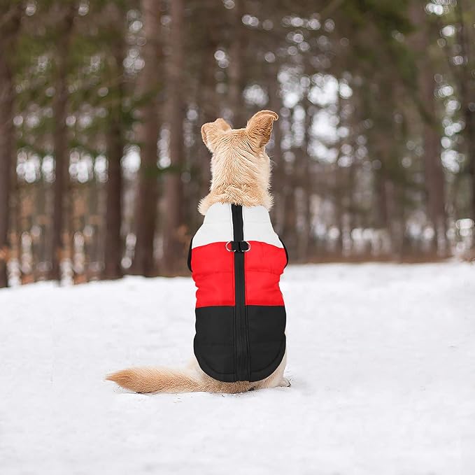 Idepet Pet Dog Cat Coat with Leash Anchor Color Patchwork Padded Puppy Vest Jacket Teddy Chihuahua Costumes Pug Cloth XS S M L (X-Large, Black)