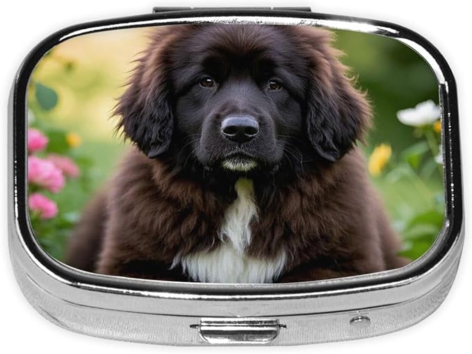 Pill Box with Mirror 2 Compartment Cute Pet Newfoundland Dog Small Pill Case for Purse Or Pocket Mini Metal Pill Holder Travel Weekly Medicine Tablet Vitamin Holder Organizer Travel Gifts