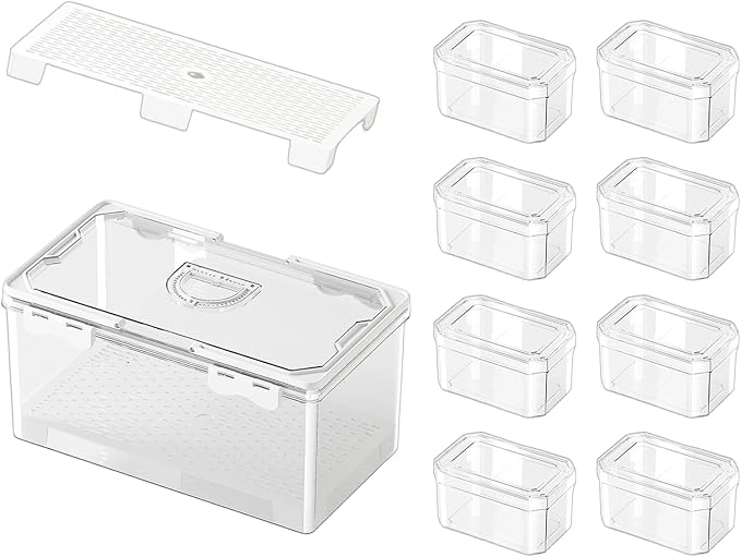 Transportable Hand Carry Food Storage Container Produced from PET Exemplary for Daily Commuting Outdoor Picnics and Home Organization