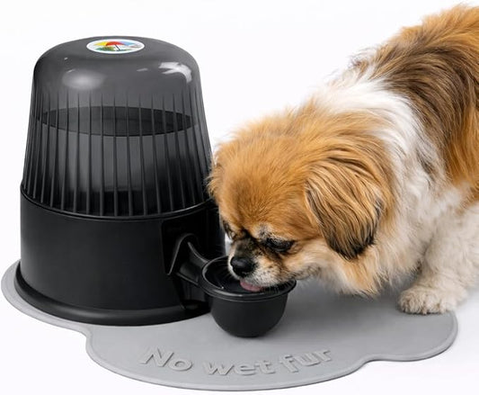 Pet Water Dispenser for Dogs and Cats, 67.6 oz – Gravity-Fed Water Bowl for Clean Drinking, Prevents Wet Fur, BPA-Free Polypropylene, Vida Mansa (Clear Black)