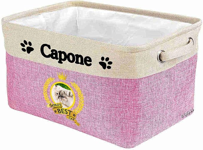 Custom Name Collapsible Dog Toy Storage Basket Bin World's Best Cat Beautiful Persian Cat Foldable Pet Toy Box Closet Shelf Baskets Organizer for Bedroom Home Dog Cat with Handles Pink