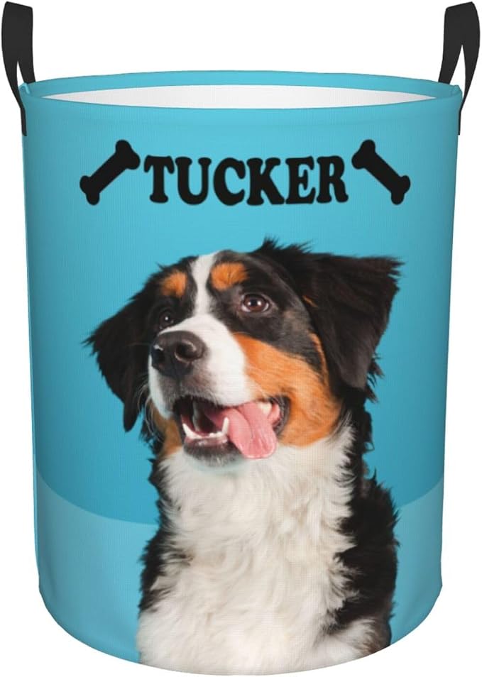 Personalized Large Dog Toy Storage Basket Bin Collapsible Custom Pet Stuff Box Chest Container for Living Room Organizer for Dog Toys,Dog Food,Blankets,Clothing (SkyBlue)