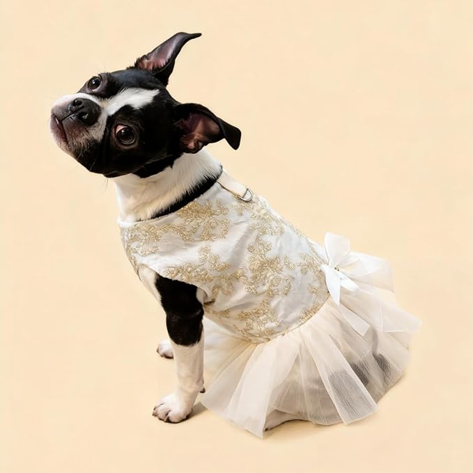 Princess Dog Wedding Dress - Embroidered Gown with Fluffy Tutu Skirt & Leash D-Ring, Formal Party Outfit for Small Dogs & Cats Like Chihuahua Yorkie (White Bow-Princess, Small)