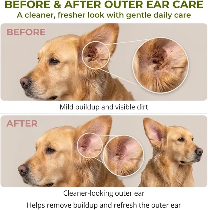 Dylan's cabin Dog Ear Cleaner Wash - pH-Balanced Pet Ear Rinse for Dogs and Cats,Gently Removes Ear Wax, Dirt Odor, Daily Gentle Ear Wash Solution, 6 fl oz