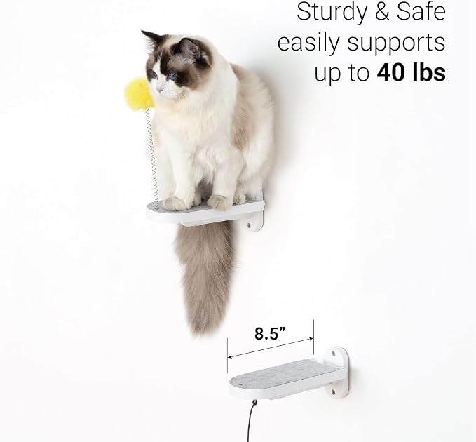(2-PACK Cat Wall Steps, Cat Climbing Stairs with Replaceable Felt Pad, Cat Climbing Shelves for Wall Mounted with Cat Toy, Cat wall furniture for Kitten, Medium and Large Cats (White)