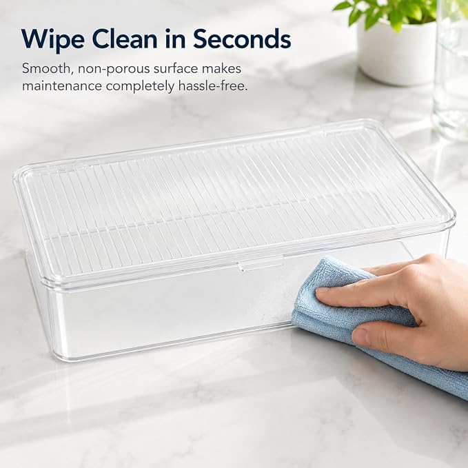 Clear Plastic Storage Bin with Lid, Small Silverware Organizer with Cover, Transparent Kitchen Utensil Drawer Tray for RV Countertop Flatware