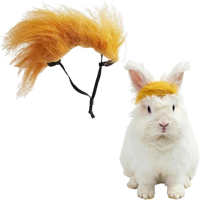 Funny Yellow Pet Wig Headband, Adjustable Elastic Long Pile Costume Accessory, Party Photo Prop for Cat Dog Rabbit (L)