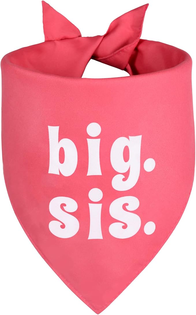 Big Sister Dog Bandana Pink XLarge 1PCS, Adjustable Triangle Scarf | Pregnancy Announecment, New Baby for Family.