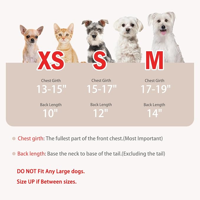 PUPTECK Summer Dog Dress with Bow and Leash Ring, Pink Strawberry M | Cute Adorable Breathable Mesh Dog Clothes for Small Medium Dogs Puppy Cats, Pet Outfit Apparel for Birthday Party