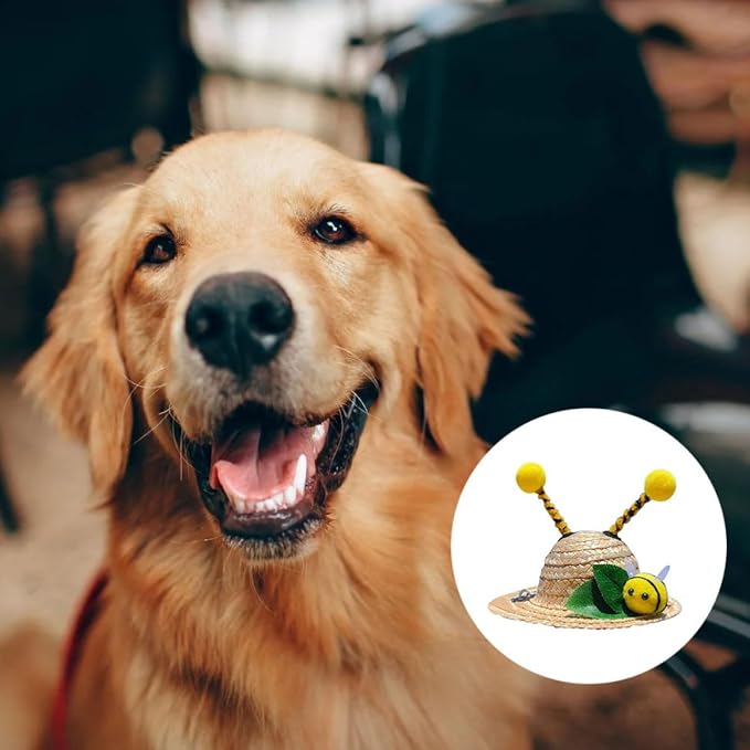 YARNOW Creative Bee-Shaped Pet Hat for Dogs and Cats, Wheat-Straw Material, Safe and Delicate Design, for Holidays and Halloween Party Decoration