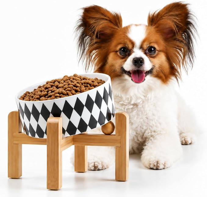Petygooing Raised/Elevated 15°Slanted Ceramic Dog Bowl for Small Breeds,Tilted Anti Slip Pet Bowl,Food Water Dish with Stand for Cats and Small Dogs Puppy 13.5 OZ (5.1In / 1.7 Cups) Black Rhombus
