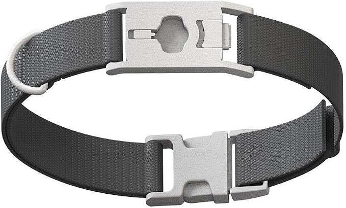 Whistle GO Explore Pet Collar - Twist & Go, Squirrel Grey, Small