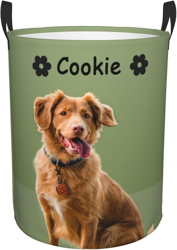 Personalized Large Dog Toy Storage Basket Bin Collapsible Custom Pet Stuff Box Chest Container for Living Room Organizer for Dog Toys,Dog Food,Blankets,Clothing (Olive Green)