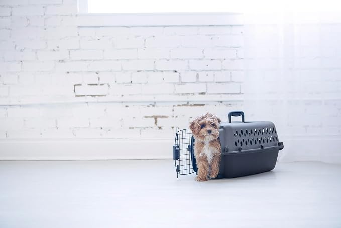 Petmate Pet Porter Dog Kennel 19in, Dark Gray and Black, up to 10lbs | Made in USA