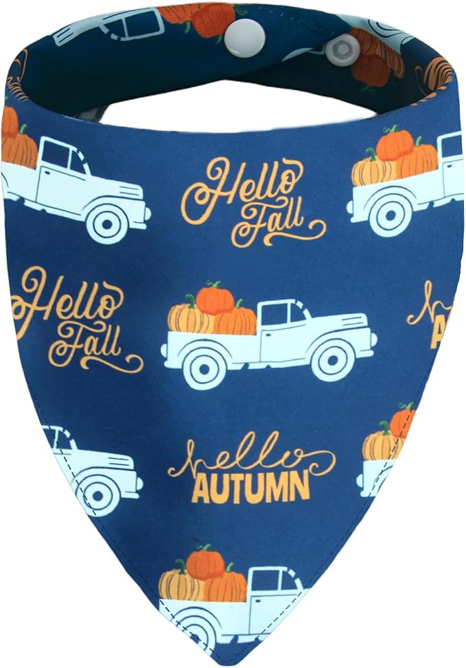 Vintage Fall Dog Bandana Hello Autumn Pumpkin Truck, 5-30lbs Pets