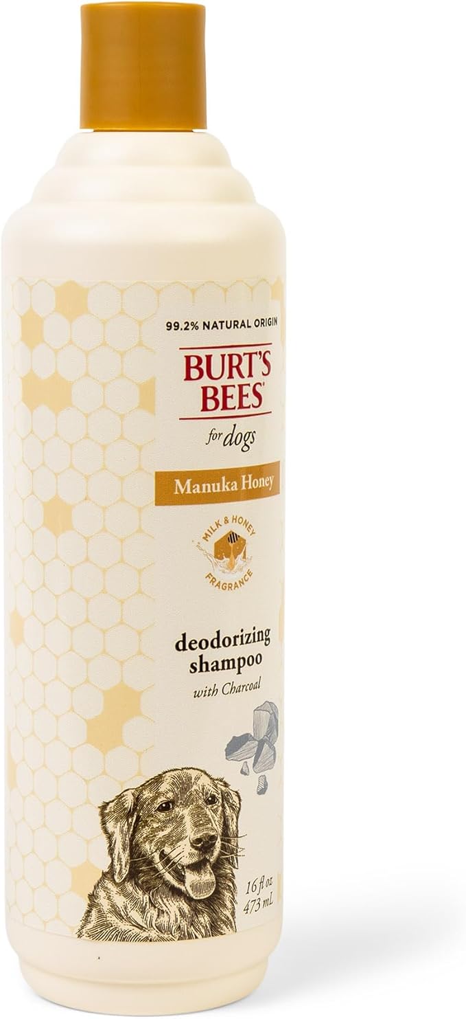 Burt's Bees for Pets Deodorizing Shampoo for Dogs, Manuka Honey & Charcoal, Reduces Odor, 95%+ Natural Origin, No Sulfates, Parabens or Phthalates, Leaves Milk & Honey Scent, 16 Fl Oz