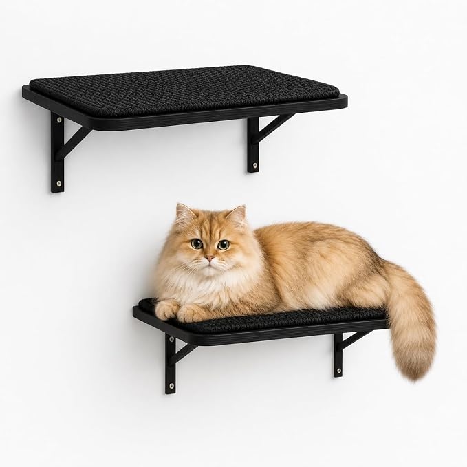Cat Wall Shelves Set of 2, Black Solid Wood Window Perches with Sisal Mats | Removable Black Sisal Mats, Wall-Mounted Cat Furniture for Climbing, Scratching and Lounging, 16.6 x 9.7 Inch