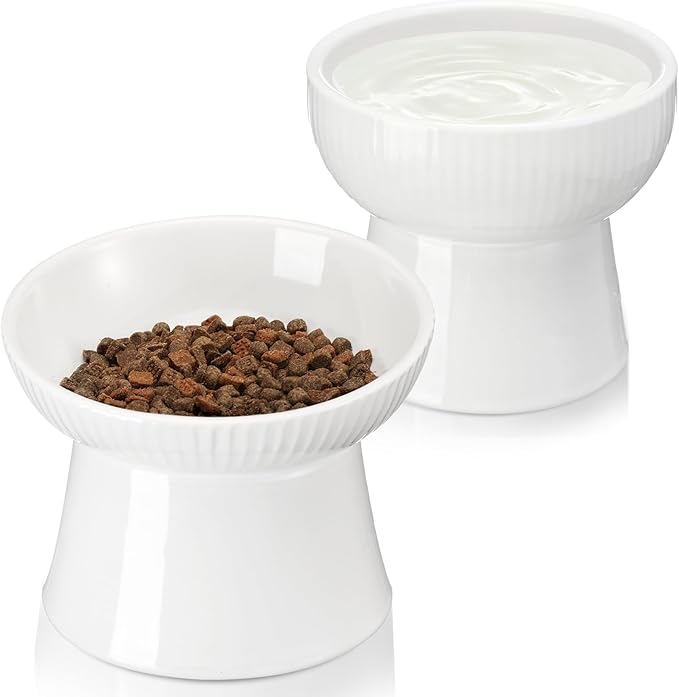 2 Pcs Cat Elevated Ceramic Bowls Raised Cat Food and Water Dishes, High Edge, Anti Vomiting Cats Feeder Bowl for Pets Kitten Puppies Dry Wet Food and Water, Dishwasher Safe