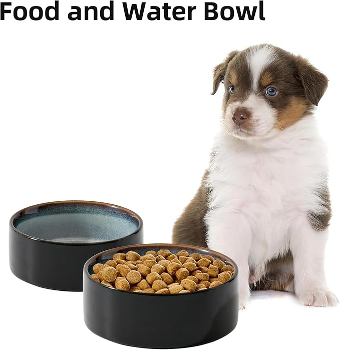 Havniva Cat Bowls Set of Two, 6.1” Ceramic Cat Food Bowls, Cat Water Bowl | Cat Food and Water Bowl Set, Non-Slip Base, Food-Grade Ceramic, Wide Opening, Dishwasher Safe, Pet Bowls Whisker Friendly