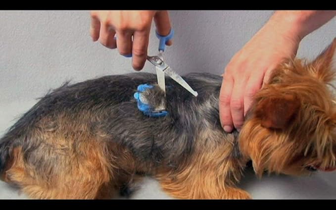 Scaredy Cut Silent Clipper + Sharpener Pet Grooming Kit, Blue, Right-Handed 17pc RH + Sharpener, Blue