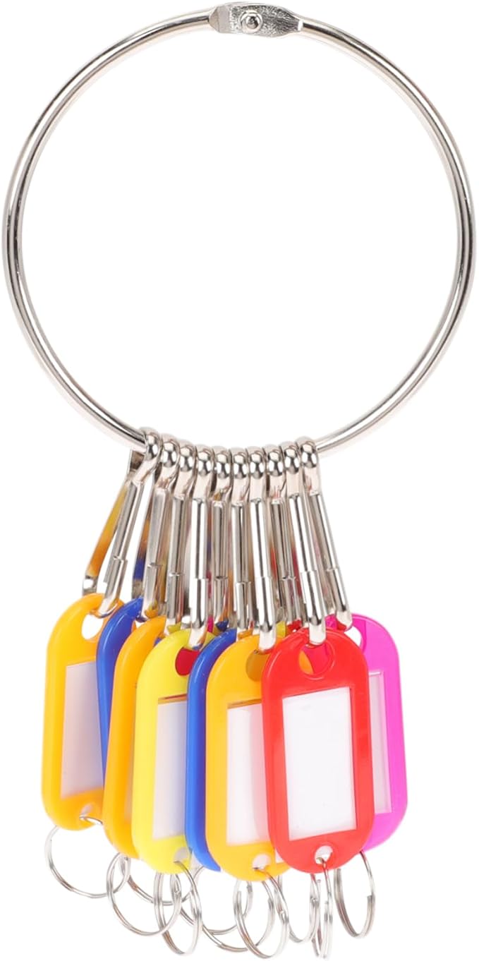 DOITOOL 2sets Multi-Functional Key Tag for Organization Key Identification Labels for Easy Luggage and Pet