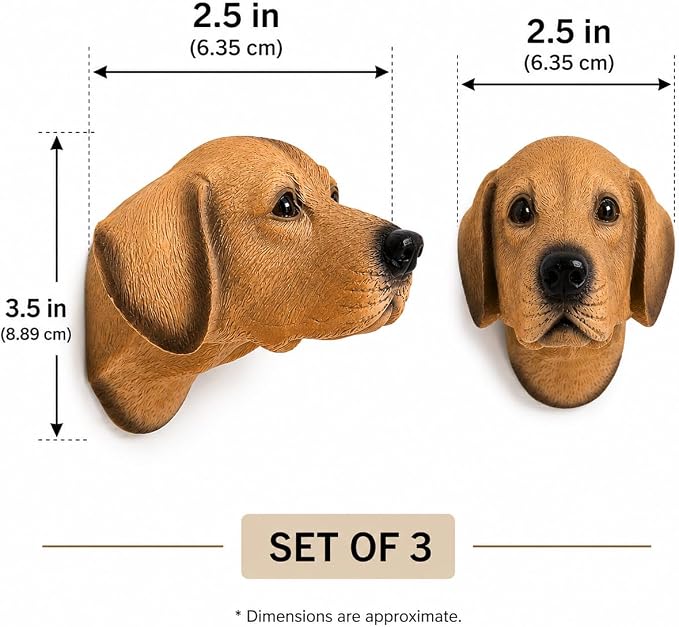 Wowser Labrador Retriever Leash Hangers, Set of 3 – Realistic Dog Wall Hooks for Leashes, Collars, Harnesses, Keys & Pet Accessories, Decorative Labrador Wall Decor for Entryway, Mudroom & Home