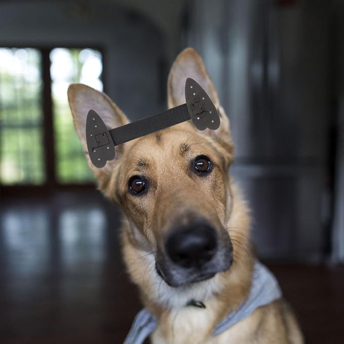 ORFOFE Dog Ear Posting Kit Puppy Ear Support Tape for Doberman Dog Standing Tape Pet and Positioning Stickers for Medium Large Dogs 3.54 X 1.57 in