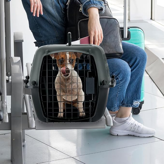 Petmate Pet Porter Dog Kennel 23in, Dark Gray and Black, Pets up to 15lbs | Made in USA