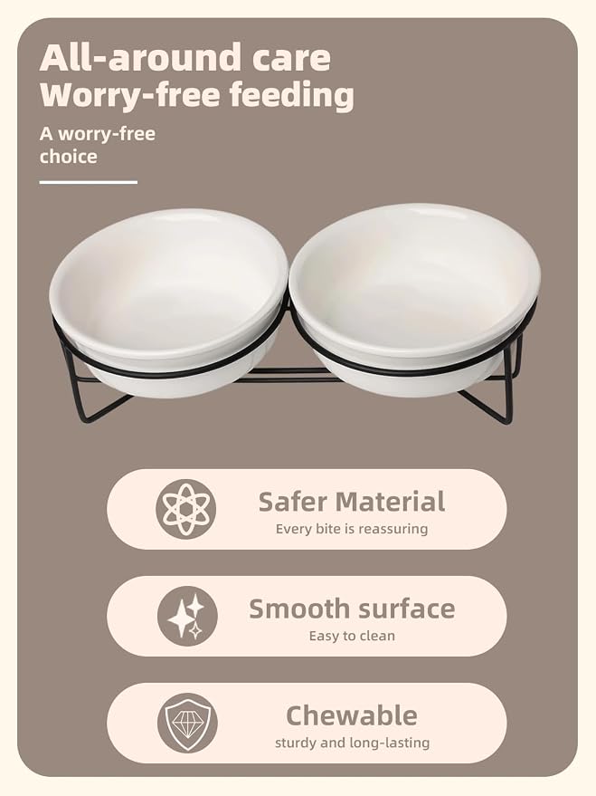 GDCZ Elevated 15 Oz Ceramic Double Cat Bowls with 11.6x2.5 Inch Stand (White)