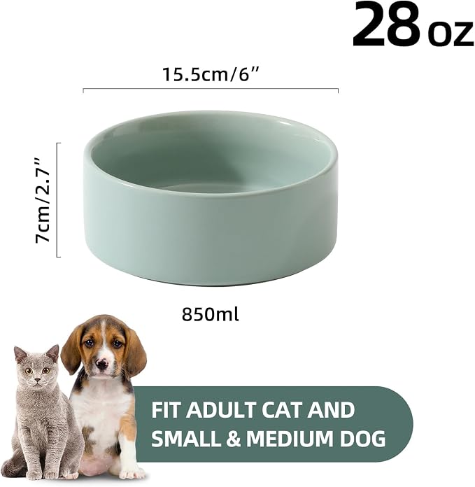 Havniva Cat Bowls Set of Two, 6.1” Ceramic Cat Food Bowls, Cat Water Bowl | Cat Food and Water Bowl Set, Non-Slip Base, Food-Grade Ceramic, Wide Opening, Dishwasher Safe, Pet Bowls Whisker Friendly
