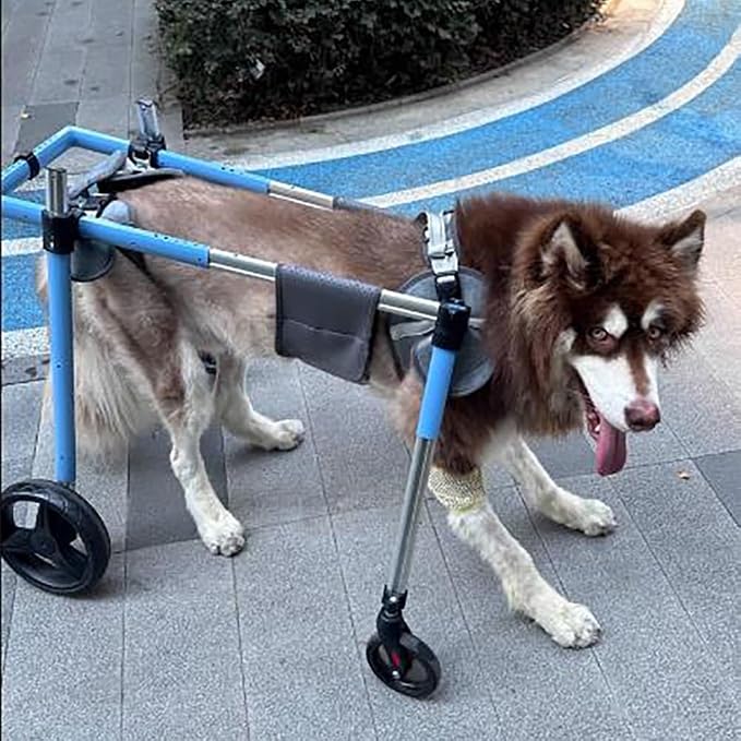 Pet Wheelchair for Dogs - Adjustable Dog Cart for Back Legs, Lightweight Aluminum Frame, Shock Absorbing Wheels for Disabled and Aging Dogs, Front & Back Leg Mobility Aid(S)