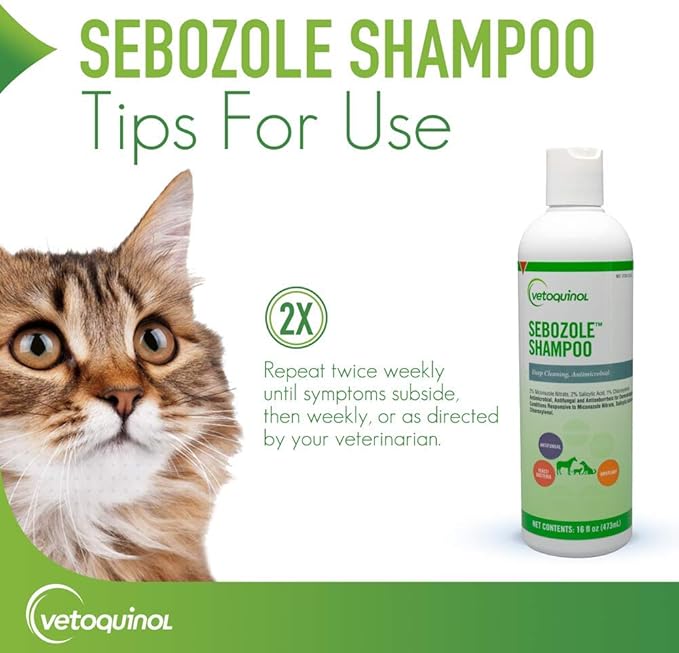 Vetoquinol Sebozole Shampoo - Deep Cleansing Shampoo for Dogs, Cats & Horses - Gentle Formula with Effective Ingredients for Routine Use - Sulfate-Free & Liquid Form - 16oz