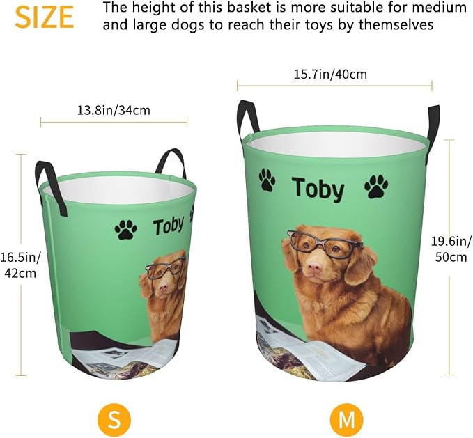 Personalized Large Dog Toy Storage Basket Bin Collapsible Custom Pet Stuff Box Chest Container for Living Room Organizer for Dog Toys,Dog Food,Blankets,Clothing (Mint)