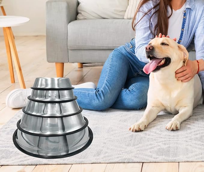 2 Pack Stainless Steel Dog Bowls with Rubber Bottom, Anti-Slip Heavy Duty Premium Quality Pets Feeder Bowls for Dogs and Cats and More (2Cup / 16oz)