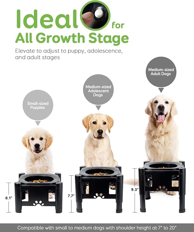 Pawque Elevated Slow Feeder Bowls - Adjustable Raised Dog & Cat Bowl with 3 Heights (6.1", 7.7", 9.3") for Medium & Small Pets, Mess Proof & Non-Slip Dish Feeder