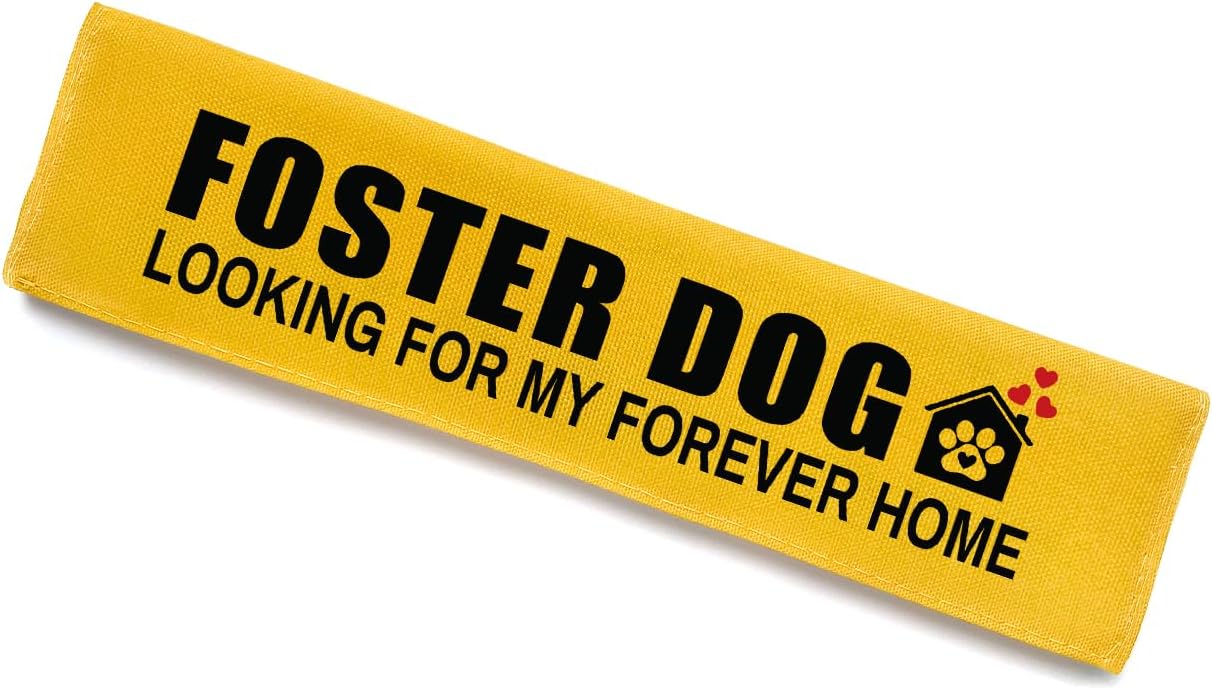 Foster Dog Leash Sleeve - Funny Yellow Alert Wrap with Hanging ID Patch | Looking for My Forever Home Pet Leash Accessory, Gift for Dog Owners