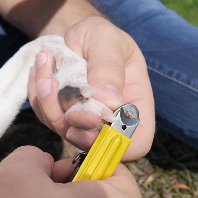 Resco Original Deluxe Dog Nail Clippers - Professional USA-Made Guillotine Trimmer - Heavy Duty Steel for Large Dogs - Yellow