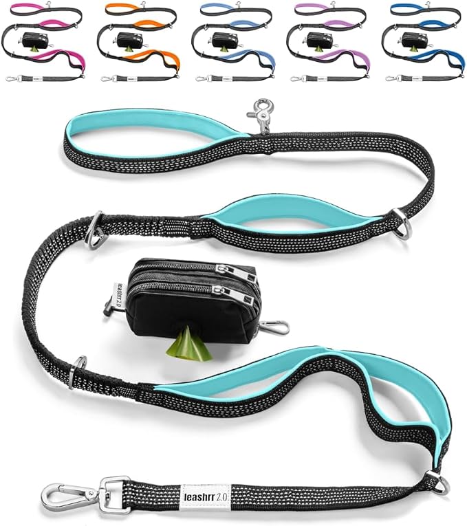 Dog Poop Bag Holder with Dispenser & Storage Pouch - Includes Adjustable Reflective Dog Leash (6FT Bungee, Padded Handles) - Durable Leash for Walking, Training & Travel (Aqua)