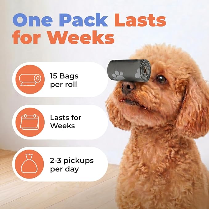 Best Pet Supplies Poop Bags for Dogs - Gray, 240 Count | Scented, Leak-proof, Easy-Tear perforations, 15 Thick Bags per roll, Outdoor Walking & Travel, Fits Standard Holders