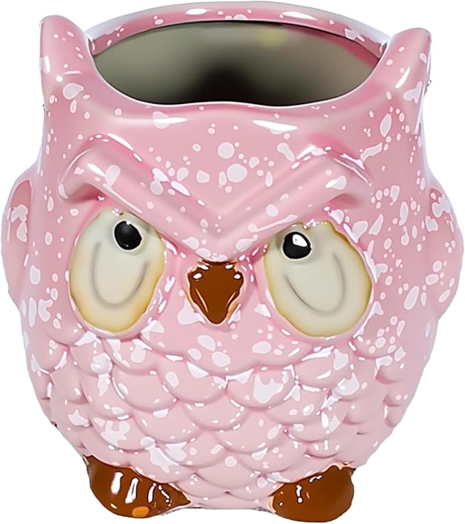Ceramic Owl Shaped Pen Pencil Holder for Desk Decoration Accessories Owl Decor Makeup Brush Pen Cups Succulent Plant Pot Office School Ideal Gifts for Women, Mom or Birthdays