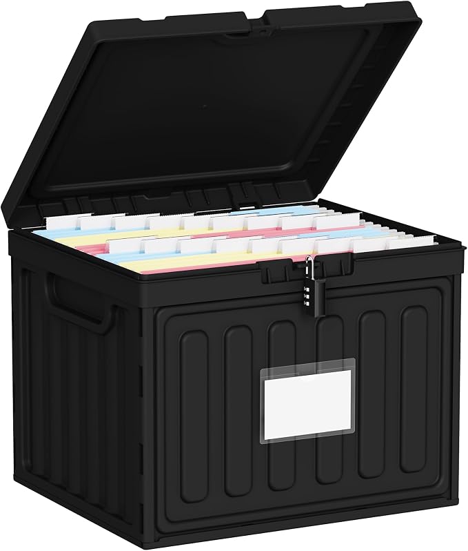 Oterri Lockable Plastic File Box with Lid for Letter-Size | Hanging File Folders Not Included. Black, Large 1-Pack. Home, Office, Classroom, Dorm, Tax, Under Bed, Filing Cabinet.