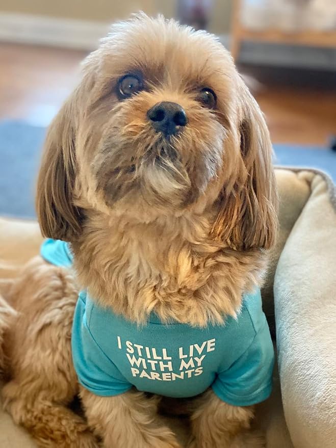 Cute Dog Clothes, T Shirt for Medium and Small Dogs Girl Boy,Puppy.Breathable Soft Dog Costume for Pet Dogs Cats, Pet Pullover Jumper, Cat Clothes (XXL-(19~23lb), Chest~21.5", Aqua)