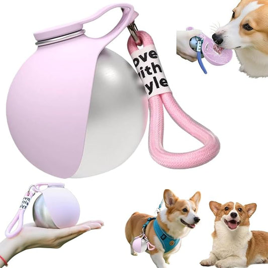 Portable Dog Water Bottle - Foldable Pet Water Bottle for Dogs,2 in 1 Stainless Steel DogWater Dispenser Portable for Small Dog Walking, Hiking & Travel, Leak-Proof & Spill Proof Compact Dogs Travel