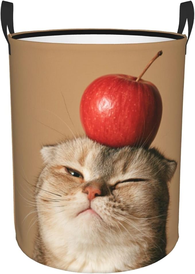 Funny Pet Cat And Fresh Apples Art Laundry Hamper 15.7×19.6 Inches | Clothes Basket With Handles, Versatile Storage Organizer For Home Decor, Laundry Room, Dorm, Bathroom, Living Room, Gifts