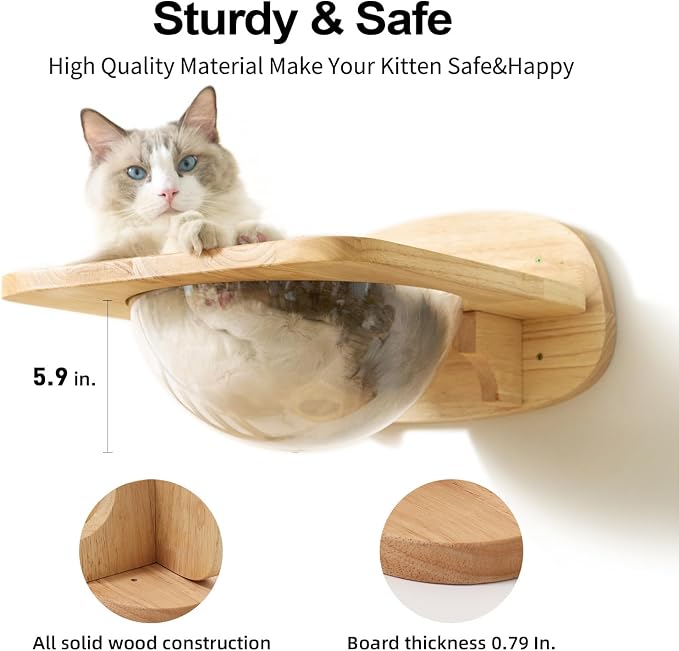 FUKUMARU Cat Wall Furniture Set, Transparent Capsule with 2 PCS Pedals | Kitten Walls Shelves, Premium Kitty Bed, For Sleeping, Playing, Climbing, Lounging, Holds Up to 35 Lbs