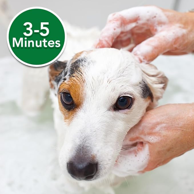Vet's Best Medicated Oatmeal Shampoo for Dogs, Soothes Dry Itchy Skin, Moisturizes & Conditions Coat, Aloe Vera, Tea Tree Oil & Vitamin B5 Formula, Dog Dandruff & Sensitive Skin Relief, 16 oz