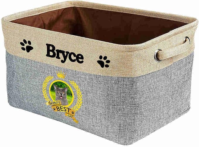 Custom Name Collapsible Dog Toy Storage Basket Bin World's Best Cat Russian Blue Cat Foldable Pet Toy Box Closet Shelf Baskets Organizer for Bedroom Home Dog Cat with Handles Gray